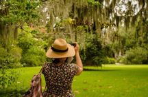 Magnolia Plantation Tour with transportation PLUS City Bus Tour