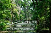 Magnolia Plantation Tour with transportation PLUS City Bus Tour