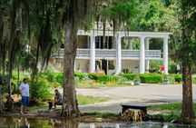 Magnolia Plantation Tour with transportation PLUS City Bus Tour