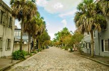 Magnolia Plantation Tour with transportation PLUS City Bus Tour