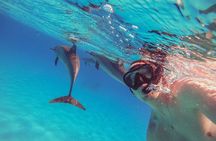 Dolphin House Reef Sea Trip & Snorkeling / Transfers – Marsa Alam
