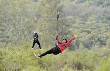Small Group 4 Day Garden Route Adventure from Cape Town