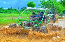 Road Off Buggy Adventure