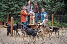 1 Hour Fall Sled Dog Experience in Two Rivers