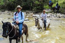 Ecological Horseback Riding in Murillo Tolima.