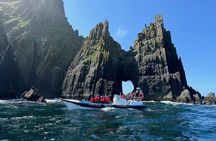Dingle Boat Tours RIB Adventure Private