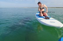 Island Tour by Pedal HOBIE / Kayak / SUP - Fort Myers Beach 