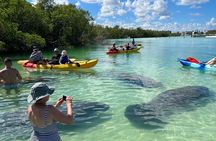 Island Tour by Pedal HOBIE / Kayak / SUP - Fort Myers Beach 