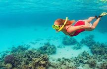 All Inclusive Day Trip to Nusa Penida West Coast in Bali 
