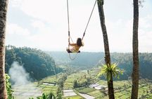 Bali Gate of Heaven Temple, Waterfall, Water Palace & Swing