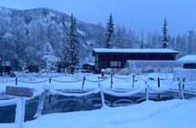 Chena Hot Spring Day Tour