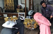 e-bike Cycling Tour in Himeji Castle Town