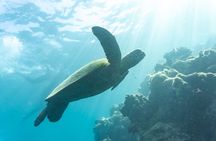 2 Day & 2 Night Whitsundays Sailing Adventure on Condor
