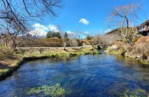 English Guided 2 Days Tokyo ,Mt Fuji and Hakone Private Tour