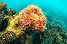 Discover Phu Quoc 3 Island Tour by Boat and Cable Car 1 day