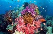 Discover Phu Quoc 3 Island Tour by Boat and Cable Car 1 day