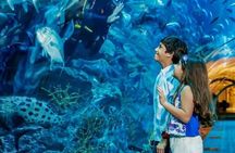 Burj Khalifa and Dubai Aquarium Combo Entrance Ticket