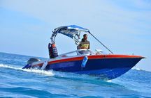 Private Speedboat Dolphin House Sea Trip with Transfer - Hurghada