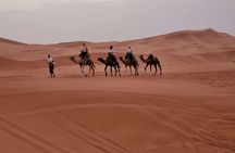 Merzouga Camel Trekking 1 Night Experience 