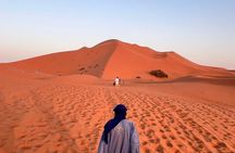 Merzouga Camel Trekking 1 Night Experience 