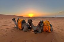 Merzouga Camel Trekking 1 Night Experience 