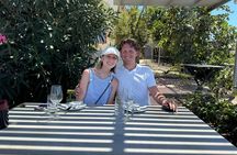 Santorini Mini Wine Tasting Tour at 2 Wineries