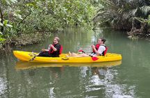 From HCMC: VIP TOUR Mekong Delta Adventure 3Days 2Nights