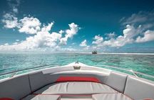 Dolphin Snorkel With private Speed Boat & Water Sports - Hurghada