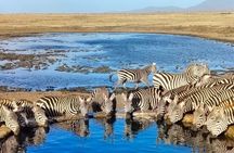 Elky Tours 2 Days Tsavo East Tour