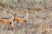 Elky Tours 2 Days Tsavo East Tour