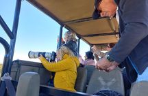  Addo Elephant Park Full day big 5 Safari 