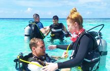 Maldives Dive Cruise Central Atolls Adventure