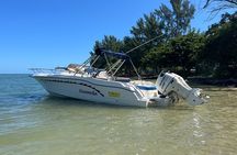 Whale Watching and Private Ocean Safari Experience in Mauritius