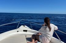 Whale Watching and Private Ocean Safari Experience in Mauritius