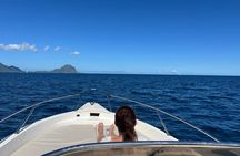 Whale Watching and Private Ocean Safari Experience in Mauritius
