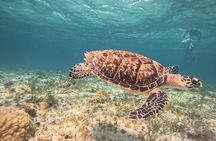 Cancun Snorkeling Adventure