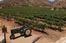 Customizable Guadalupe Wine Valley Tour