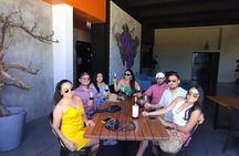 Customizable Guadalupe Wine Valley Tour
