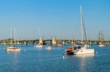 Dolphin Watch & Harbor Tour in Historical St. Augustine