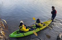 Twilight Kayak Glowworm Tour with Stargazing 