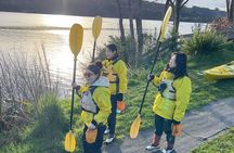 Twilight Kayak Glowworm Tour with Stargazing 