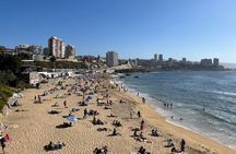 Private Valparaiso And Viña del Mar Day Trip