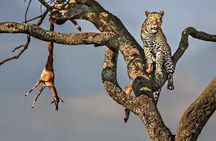3 Days Masai Mara Gamedrive Camping Safari 4X4 Jeep