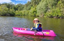 Noosa Heads: Hidden Waterways & Wildlife Kayak Tour