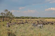 4 Days Masai Mara and Lake Nakuru Shared Camping Safari 