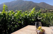 Private Chilean Wine Route Colchagua Valley Day Trip