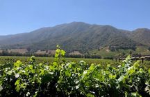Private Chilean Wine Route Colchagua Valley Day Trip
