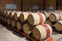 Wine Tasting Day Tour to Vineyard Casas del Bosque in Casablanca