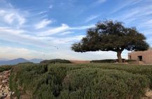 Wine Tasting Day Tour to Vineyard Casas del Bosque in Casablanca