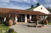 Wine Tasting Day Tour to Vineyard Casas del Bosque in Casablanca